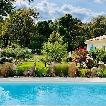 Mini Villa Pascal Paoli Avec Piscine - Proche Mer Prunelli-di-Fiumorbo 외부 사진
