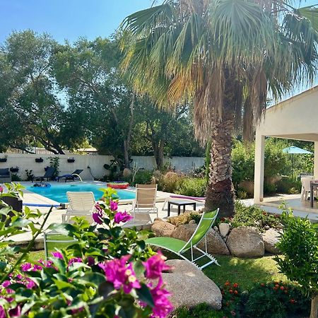 Mini Villa Pascal Paoli Avec Piscine - Proche Mer Prunelli-di-Fiumorbo 외부 사진
