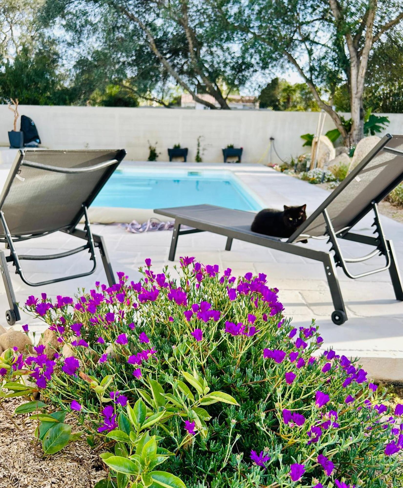 Mini Villa Pascal Paoli Avec Piscine - Proche Mer Prunelli-di-Fiumorbo 외부 사진