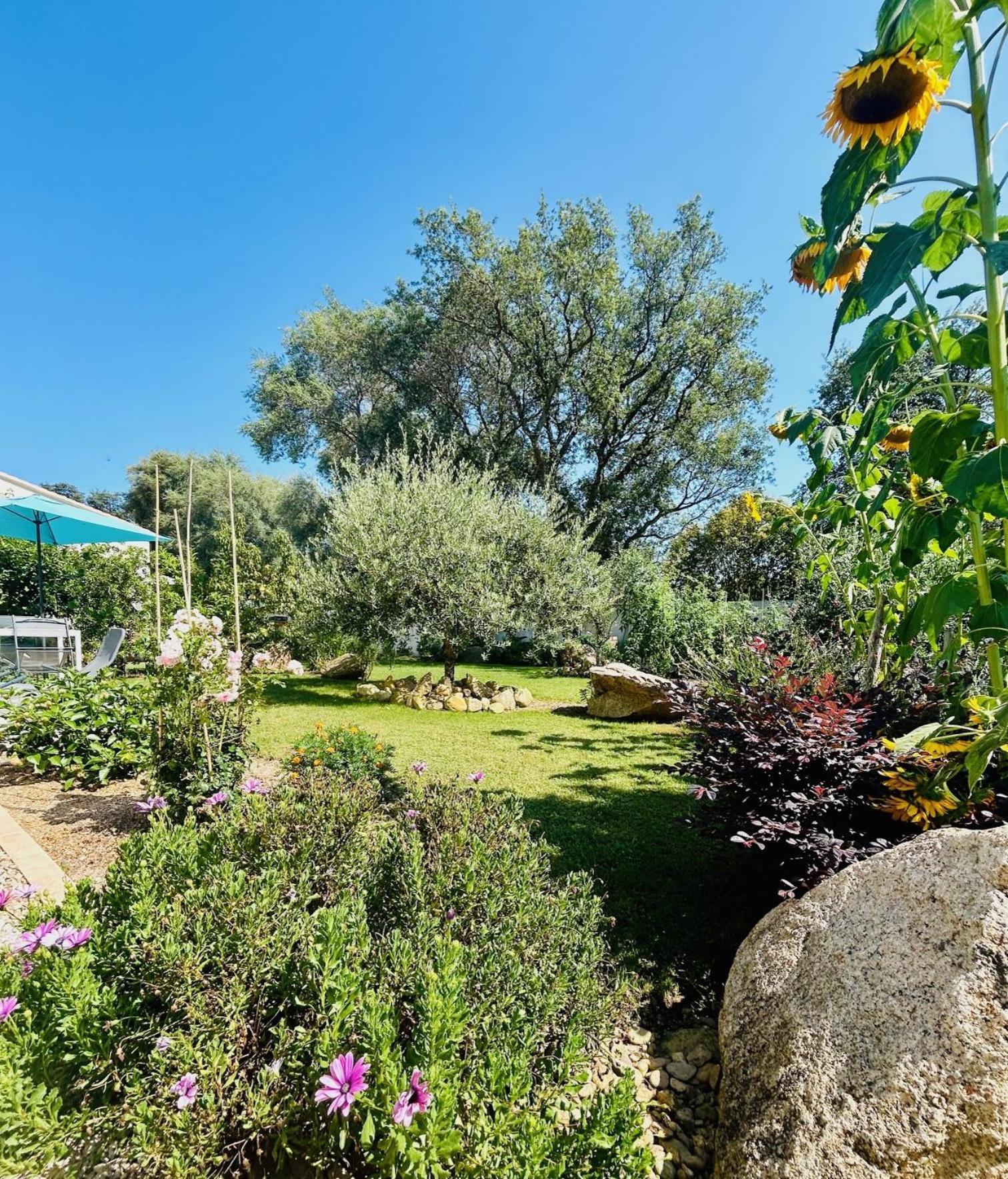 Mini Villa Pascal Paoli Avec Piscine - Proche Mer Prunelli-di-Fiumorbo 외부 사진